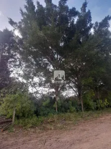 Lote/Terreno à venda, 638m² no Recanto Árvore Grande, Botucatu