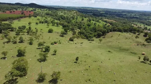 Fazenda/Sítio à venda, 22m² no Setor Central, Bela Vista de Goiás