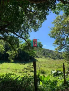 Fazenda/Sítio com 4 Quartos à venda, 142000m² no Piraí, Piraí