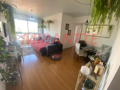 Apartamento com 3 Quartos à venda, 72m² no Vila Nova Cachoeirinha, São Paulo