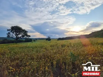 Fazenda/Sítio à venda, 1m² no , Alexânia