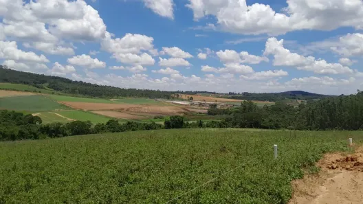 Lote/Terreno à venda, 500m² no Jardim Santa Paula, Cotia