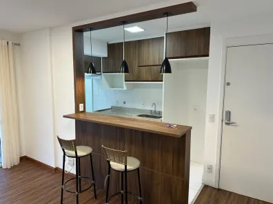 Apartamento com 2 Quartos para alugar, 65m² no Vila Guarani (Z Sul), São Paulo