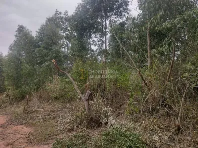 Lote/Terreno à venda, 880m² no Ipitangas, Saquarema