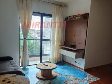 Apartamento com 3 Quartos à venda, 68m² no Vila Santos, São Paulo