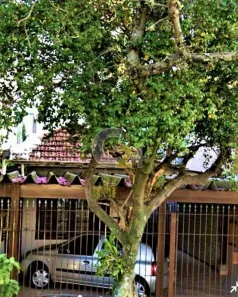 Casa com 2 Quartos à venda, 190m² no Vila Leopoldina, São Paulo