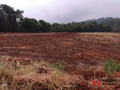 Lote/Terreno à venda, 41000m² no Esmeralda Park (Caucaia do Alto), Cotia