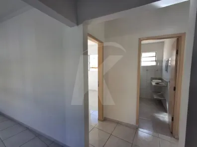 Casa com 3 Quartos para alugar, 50m² no Vila Dom Pedro II, São Paulo