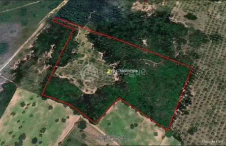 Lote/Terreno à venda, 60000m² no , Nísia Floresta