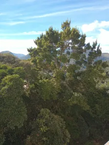 Apartamento com 1 Quarto para alugar, 40m² no Castelanea, Petrópolis