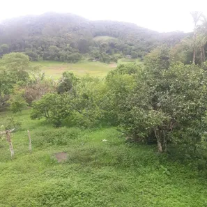 Fazenda/Sítio à venda, 648000m² no , Paraibuna