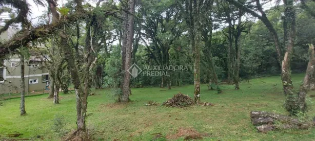 Lote/Terreno à venda, 595m² no Centro, Canela