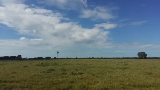 Fazenda/Sítio à venda, 387200m² no , Professor Jamil