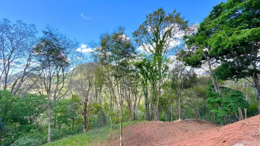 Lote/Terreno à venda, 1966m² no Itaipava, Petrópolis