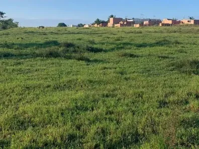 Fazenda/Sítio com 1 Quarto à venda, 145000m² no Travessão, Campos dos Goytacazes