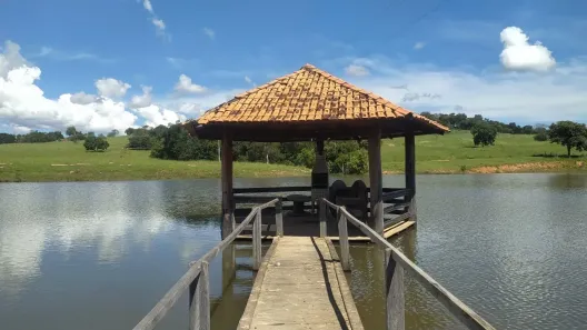 Fazenda/Sítio com 3 Quartos à venda, 138m² no , Goiás