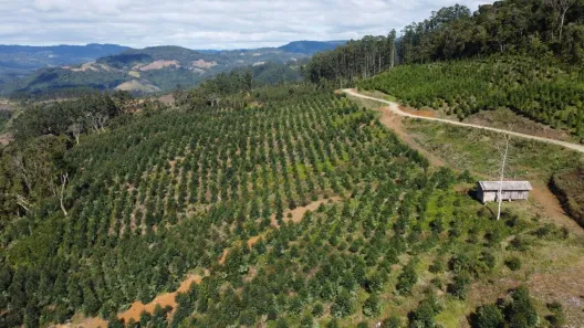 Fazenda/Sítio com 2 Quartos à venda, 224900m² no , Presidente Nereu