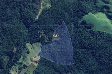 Fazenda/Sítio com 1 Quarto à venda, 111000m² no Área Rural de Campo Largo, Campo Largo