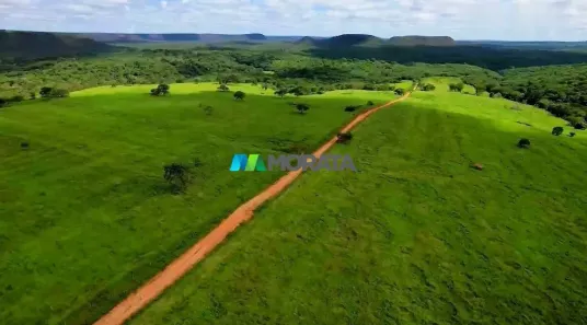 Fazenda/Sítio com 4 Quartos à venda, 1257m² no , São João da Ponte