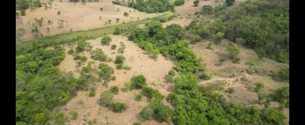 Fazenda/Sítio à venda, 380599m² no , Abadia de Goiás