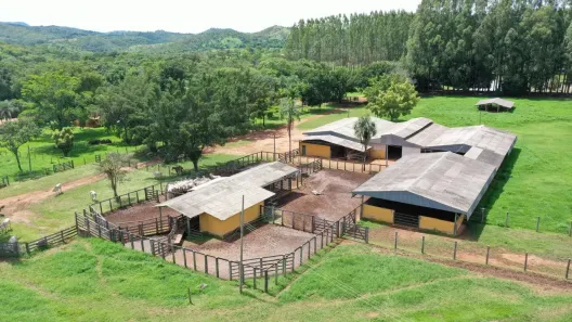 Fazenda/Sítio com 4 Quartos à venda, 6000000m² no , Padre Bernardo