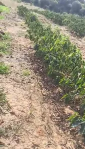Fazenda/Sítio com 2 Quartos à venda, 30000m² no , Monte Santo de Minas