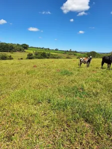 Fazenda/Sítio com 4 Quartos à venda, 47000m² no , Itaguari