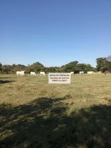 Fazenda/Sítio com 2 Quartos à venda, 145200m² no Pau Queimado, Piracicaba