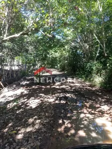 Lote/Terreno com 1 Quarto à venda, 2442m² no Praia do Forte, Mata de São João