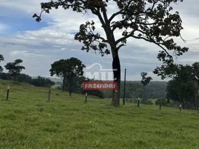 Fazenda/Sítio à venda, 500m² no , Bela Vista de Goiás