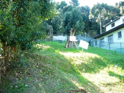 Lote/Terreno à venda, 1461m² no Petrópolis, Caxias do Sul
