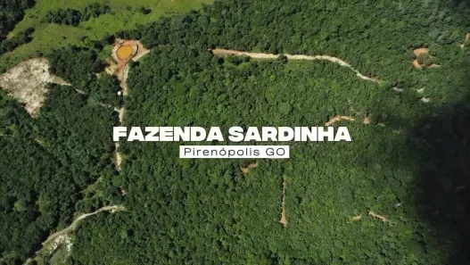 Fazenda/Sítio com 1 Quarto à venda, 10m² no Alto da Lapa, Pirenópolis