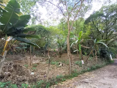 Lote/Terreno à venda, 260m² no Vila Amélia, São Paulo