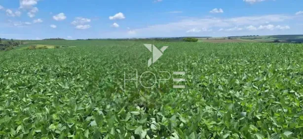 Fazenda/Sítio com 1 Quarto à venda, 14374800m² no Cornélio Procópio, Cornélio Procópio
