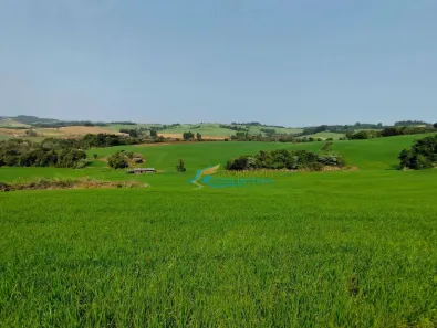 Fazenda/Sítio à venda, 120m² no Centro, Salto do Lontra