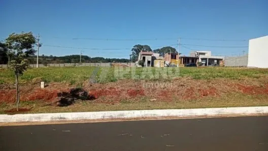 Lote/Terreno à venda, 250m² no Residencial Samambaia, São Carlos