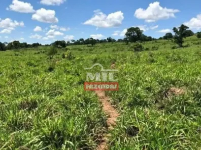 Fazenda/Sítio à venda, 500m² no , Bom Jardim de Goiás