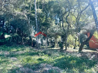 Lote/Terreno à venda, 480m² no Centro, São Francisco de Paula