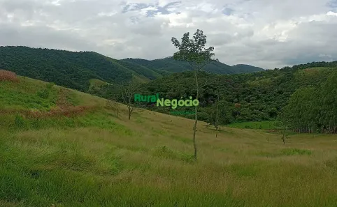 Fazenda/Sítio à venda, 1m² no Centro, Taubaté