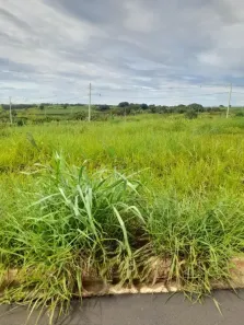 Lote/Terreno à venda, 203m² no Bonfim Paulista, Ribeirão Preto