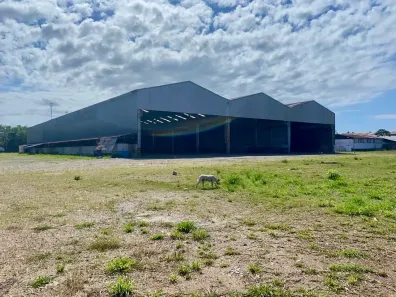 Galpão/Depósito/Armazém para alugar, 6000m² no Distrito Industrial, São Luís