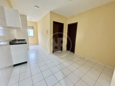 Apartamento com 1 Quarto para alugar, 50m² no Água Verde, Blumenau
