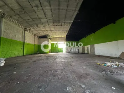 Galpão/Depósito/Armazém para alugar, 900m² no Custódio Pereira, Uberlândia