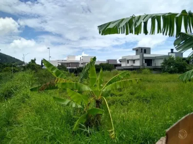 Lote/Terreno à venda, 425m² no Lagoa da Conceição, Florianópolis