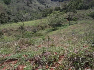 Fazenda/Sítio à venda, 68m² no Centro, Antônio Dias
