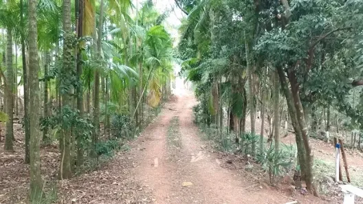 Fazenda/Sítio à venda, 96800m² no Centro, Mandaguari