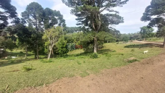 Fazenda/Sítio com 1 Quarto à venda, 20692m² no Área Rural, Bocaiúva do Sul