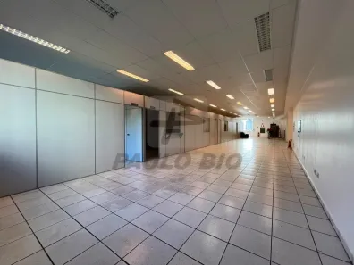 Ponto Comercial para alugar, 300m² no Vila Curuçá, Santo André
