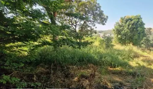 Lote/Terreno à venda, 1000m² no Shalimar, Lagoa Santa
