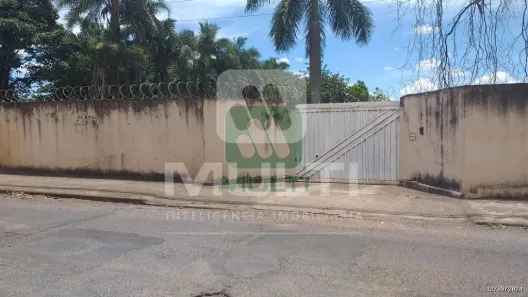 Lote/Terreno com 1 Quarto para alugar, 120m² no Chácaras Tubalina e Quartel, Uberlândia